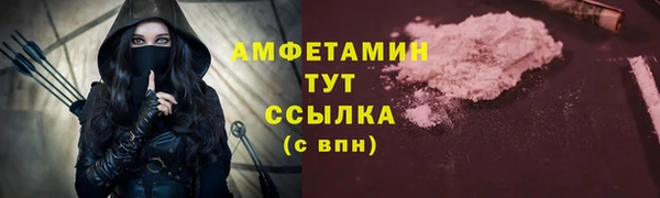 молекула духа Алексеевка