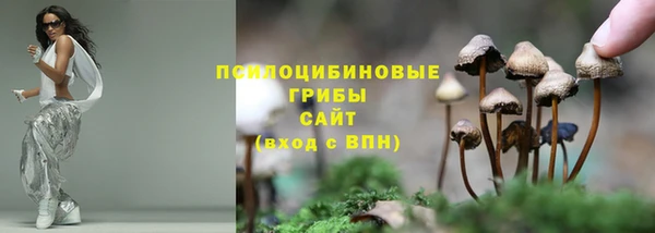 молекула духа Алексеевка