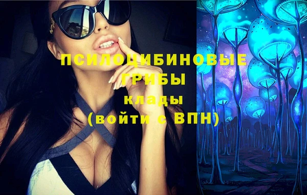 молекула духа Алексеевка