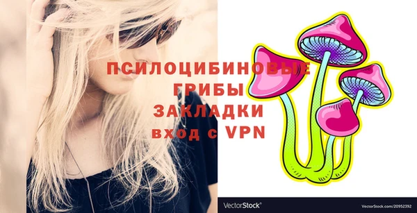молекула духа Алексеевка